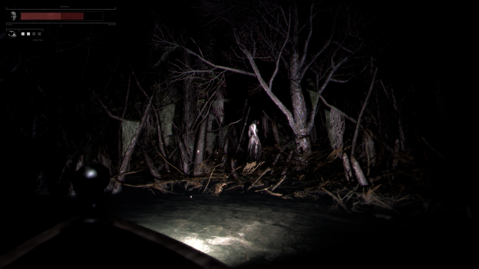 恐怖钓鱼冒险游戏《Drowned Lake》Steam页面 支持中文