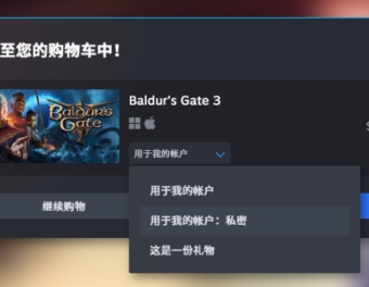 Steam测试版更新：购物车更新及私密游戏